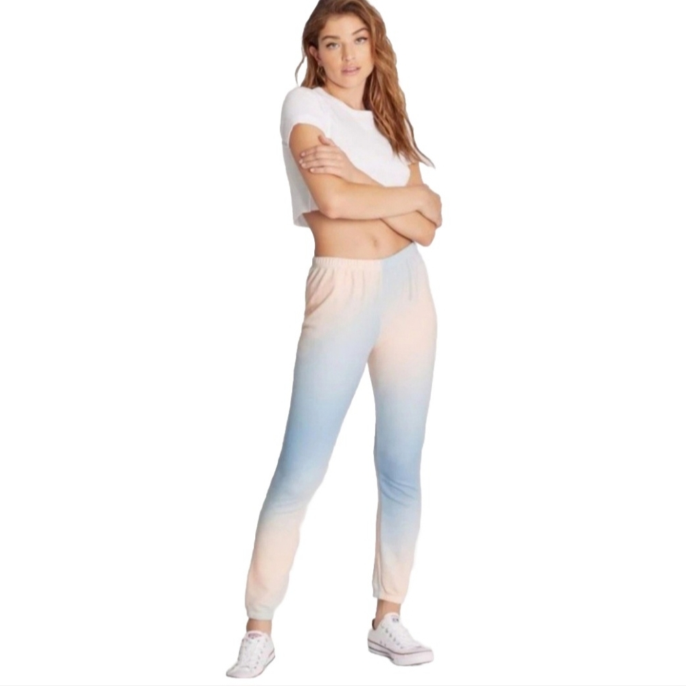 WILDFOX Grotto Knox Pants Blue/peach Size Small
